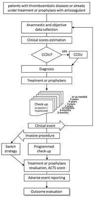 MAC Project—Monitoring Anticoagulant Therapy Observational Study: Rationale and Protocol